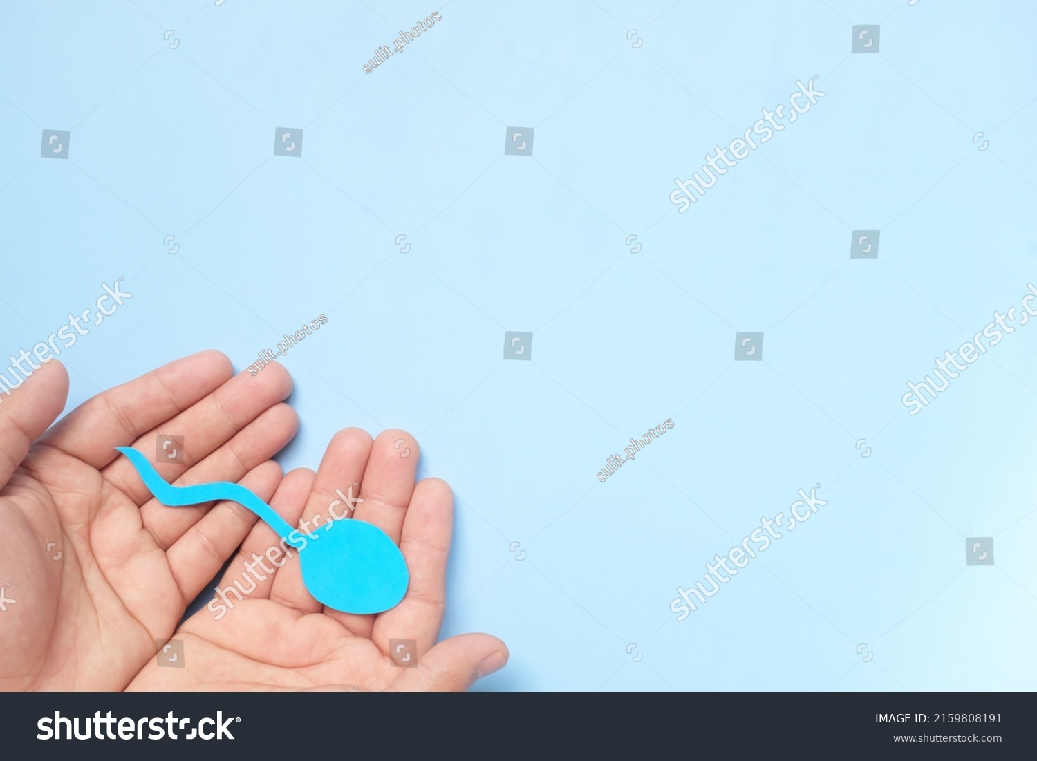 Top View Male Hand Holding Sperm Stock Photo 2159808191 | Shutterstock