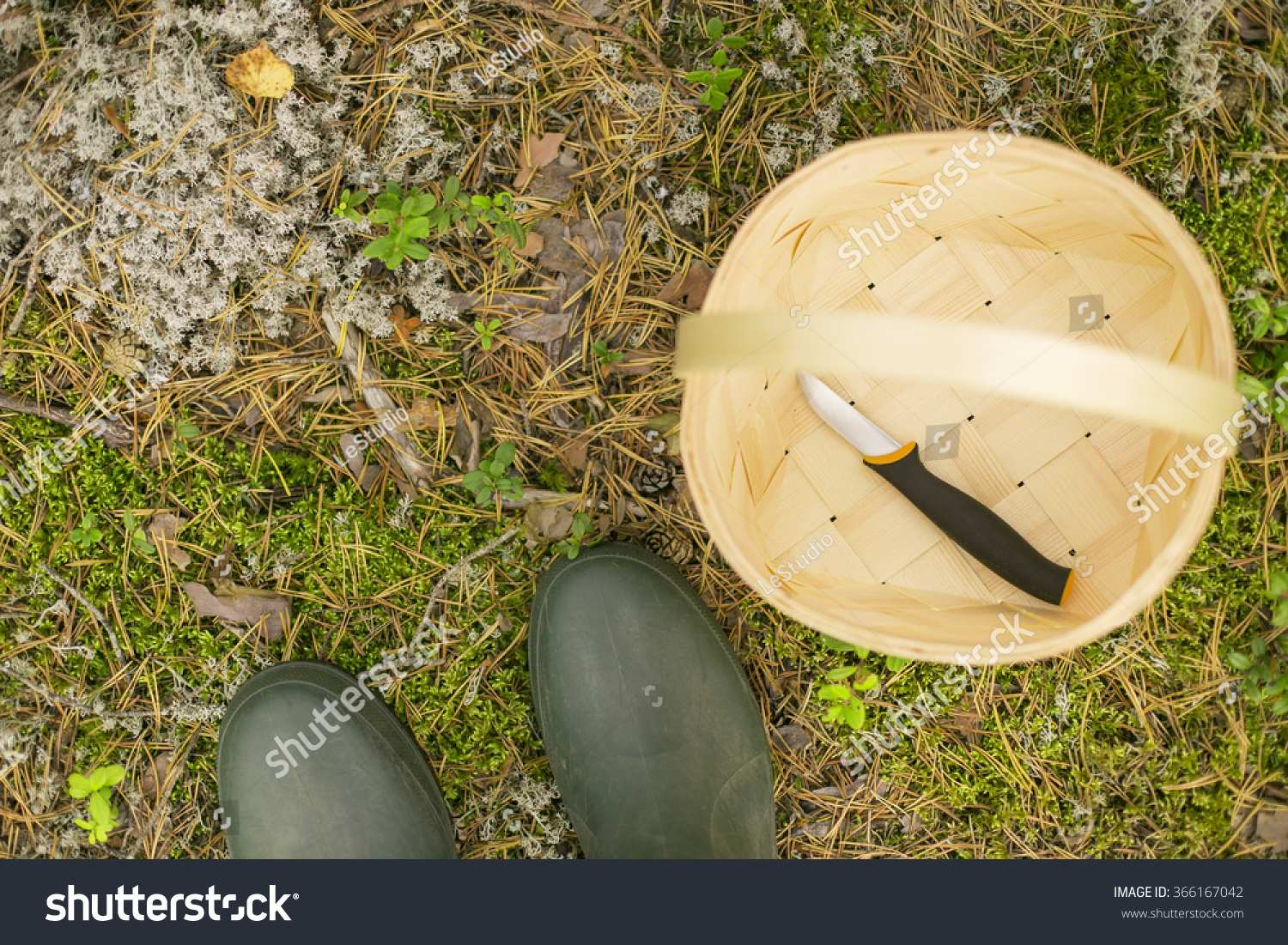 hunter boots mushroom