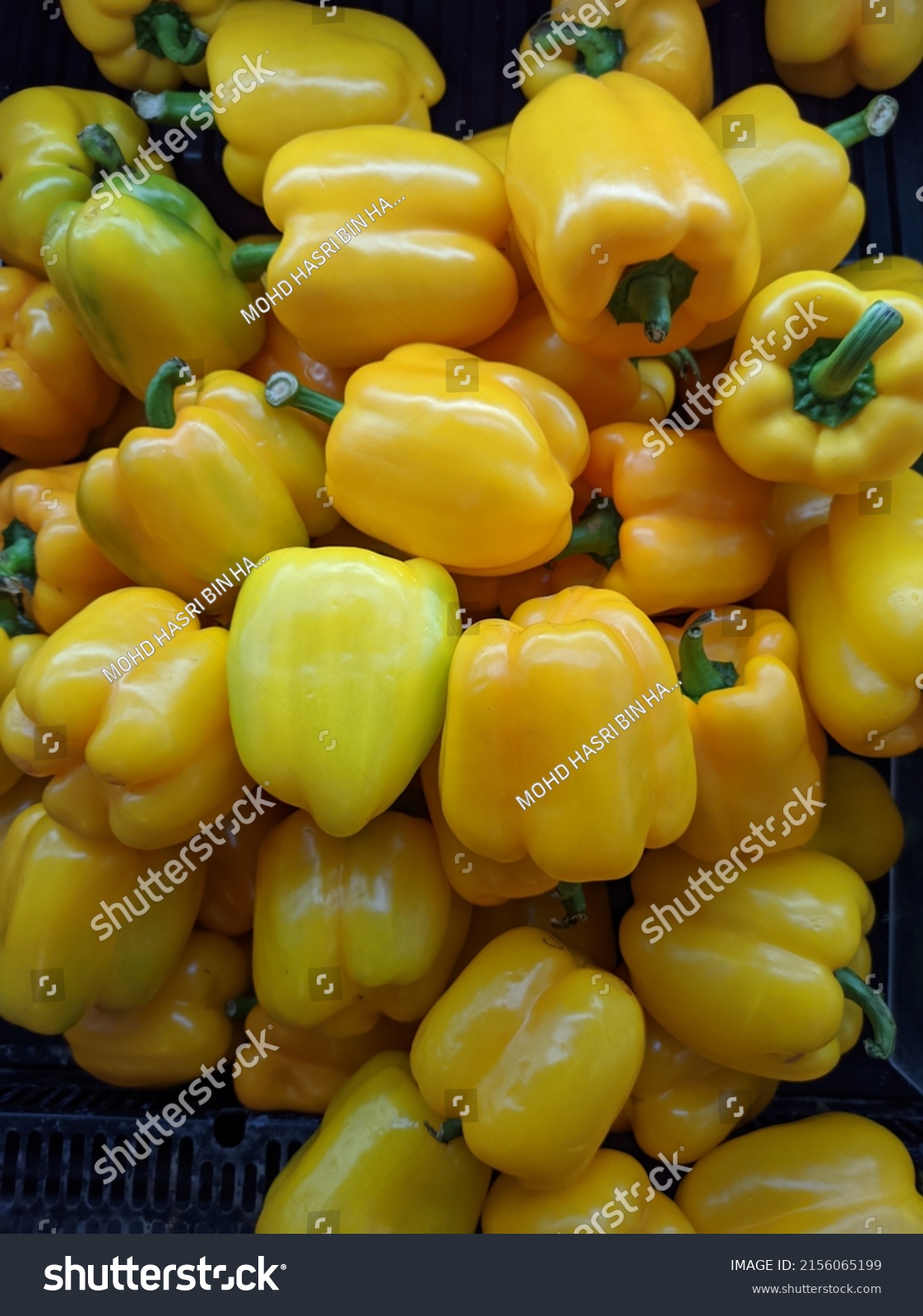 Top View Yellow Capsicums Known Yellow Stock Photo 2156065199