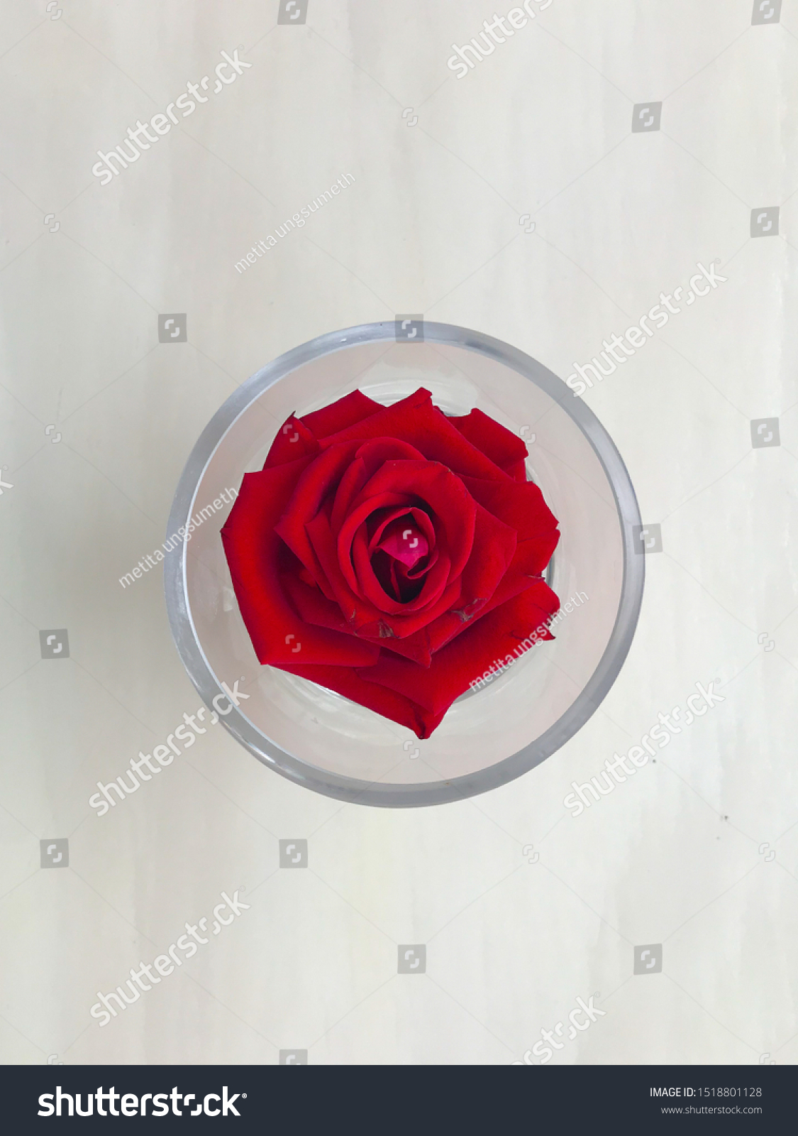 Download Top View Rose Flower Circle Jar Stock Photo Edit Now 1518801128 Yellowimages Mockups