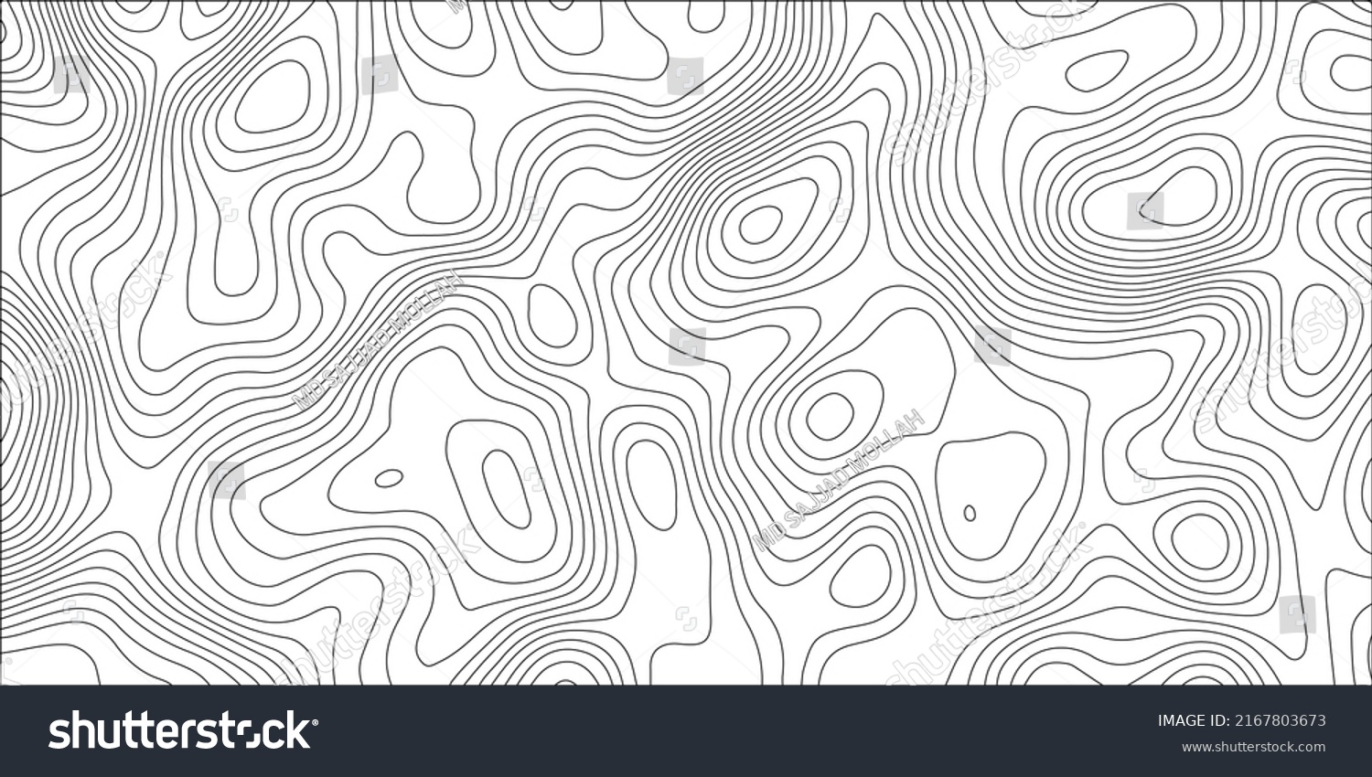 Topographic Map Background Grid Map Vector Stock Illustration ...