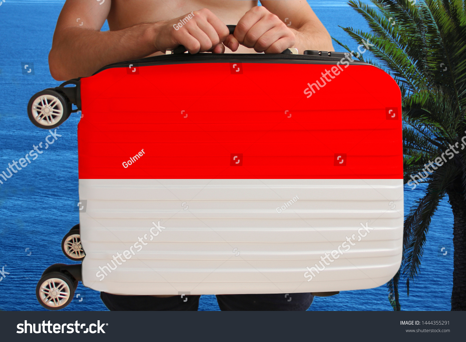 national tourist luggage