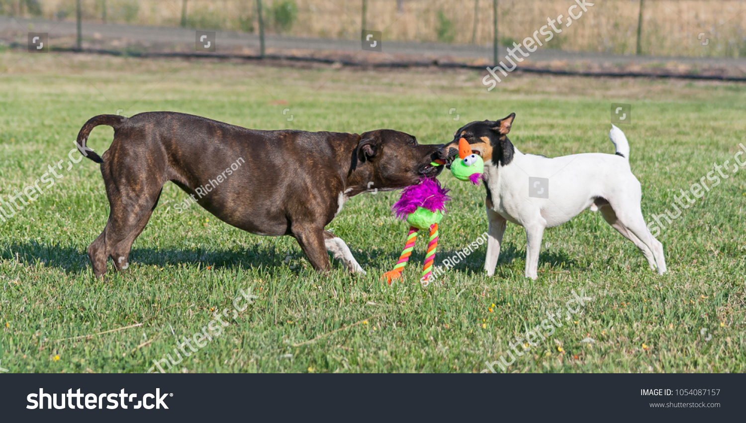 fox terrier stuffed animal