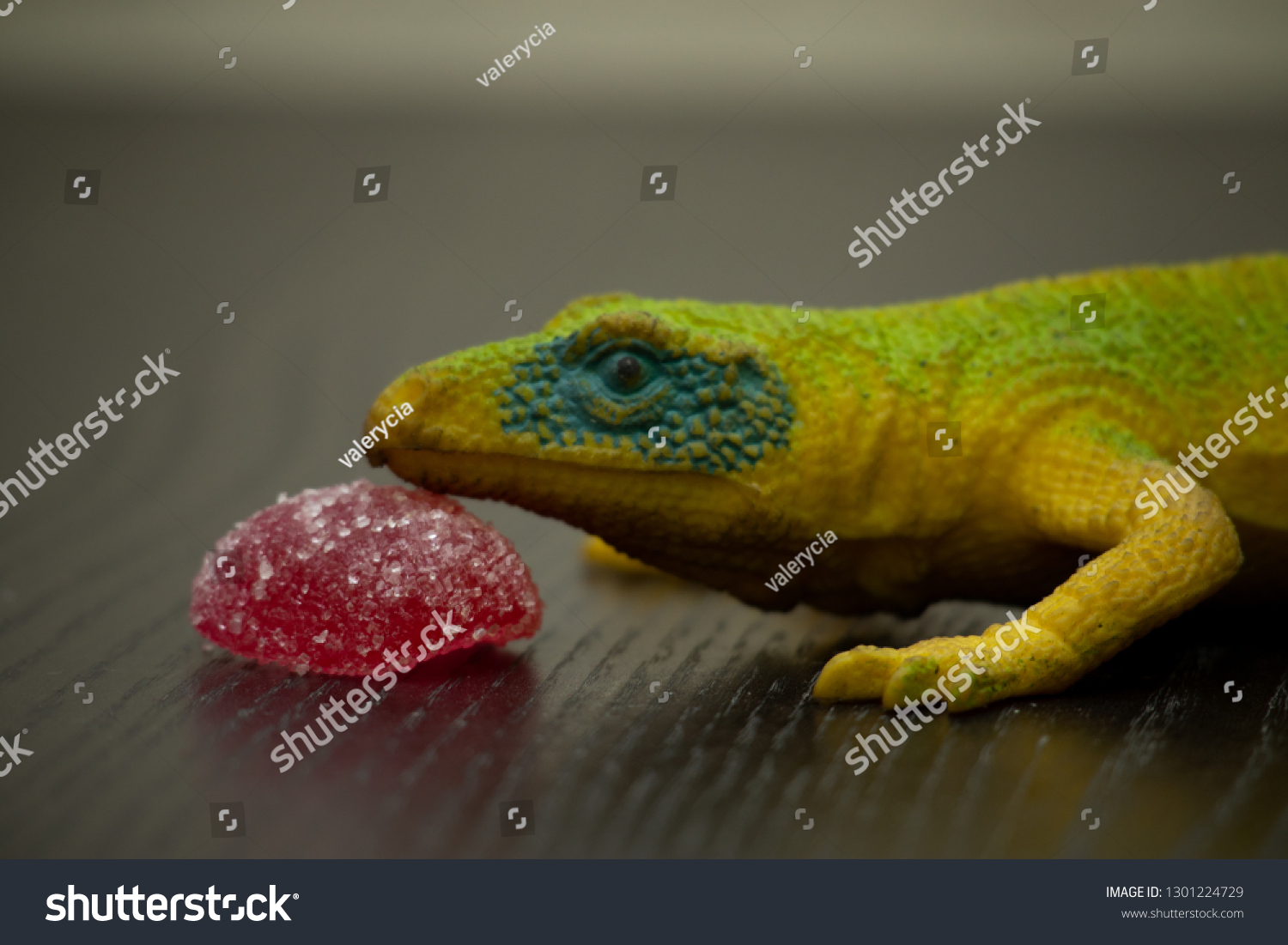 jelly lizard toy