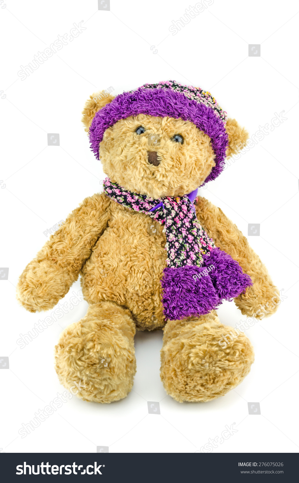 teddy bear with hat and scarf
