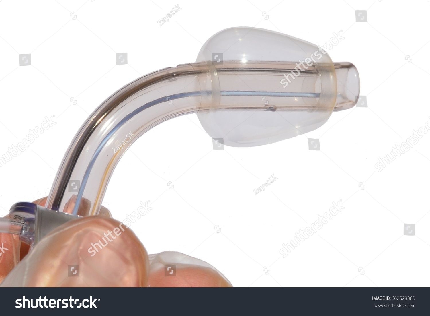 Tracheostomy Cannula Inflated Cuff Held Left Stock Photo Shutterstock