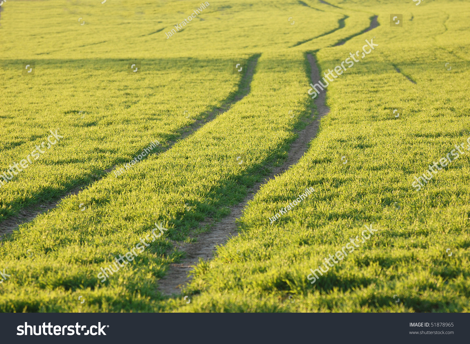 Tracks In Green Field With Grass Stock Photo 51878965 : Shutterstock