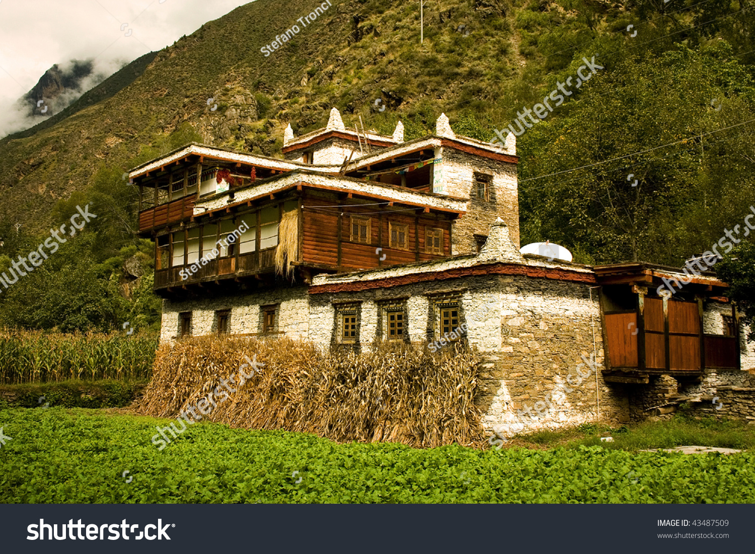  Traditional Countryside Tibet Typical Tibetan House Stock 