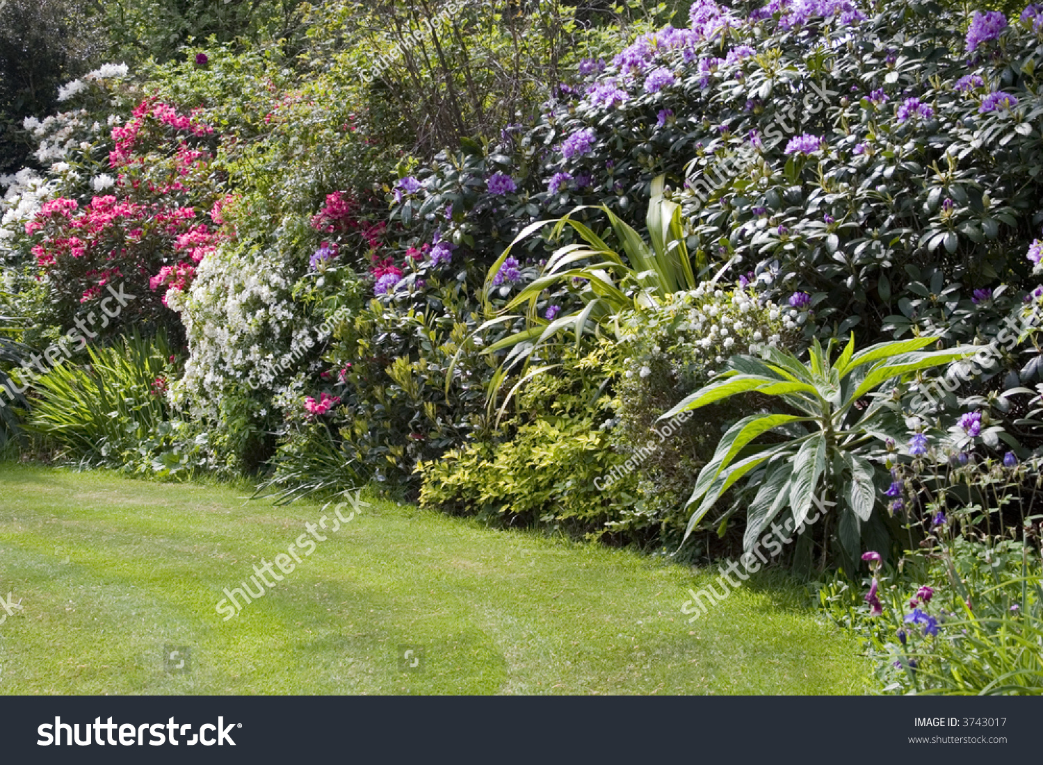 Traditional English Garden Stock Photo 3743017 : Shutterstock