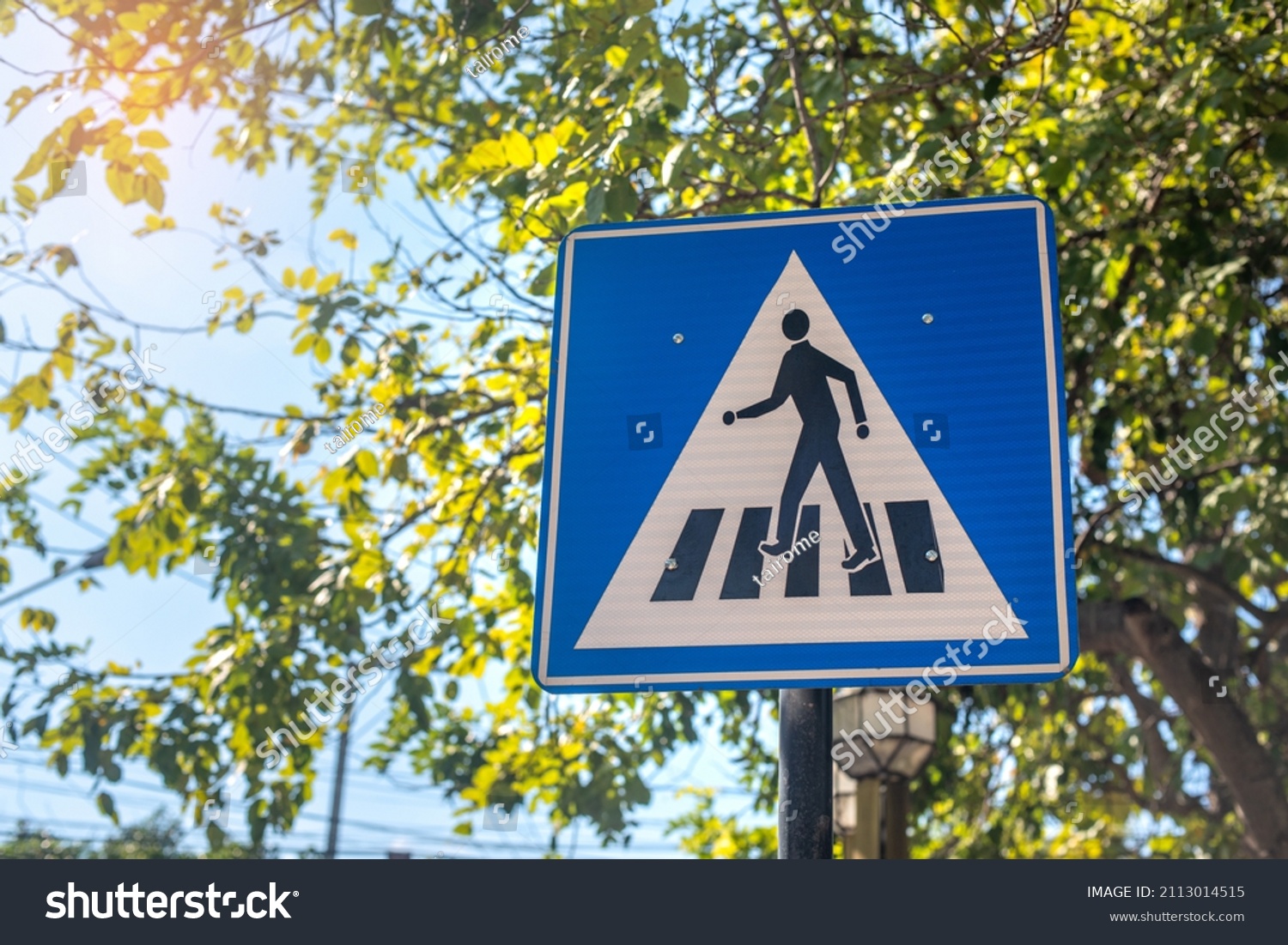 Traffic Indicating Sign Blue Crosswalk Sign Stock Photo (Edit Now ...