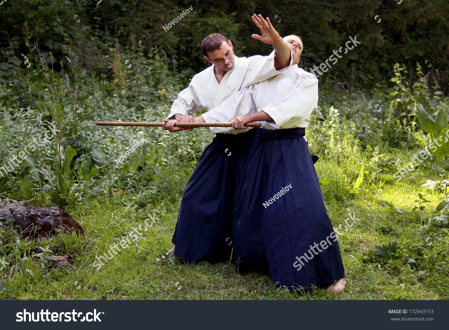Indtil nu ressource træ Training Martial Art Aikido On Nature Stock Photo (Edit Now) 172943153