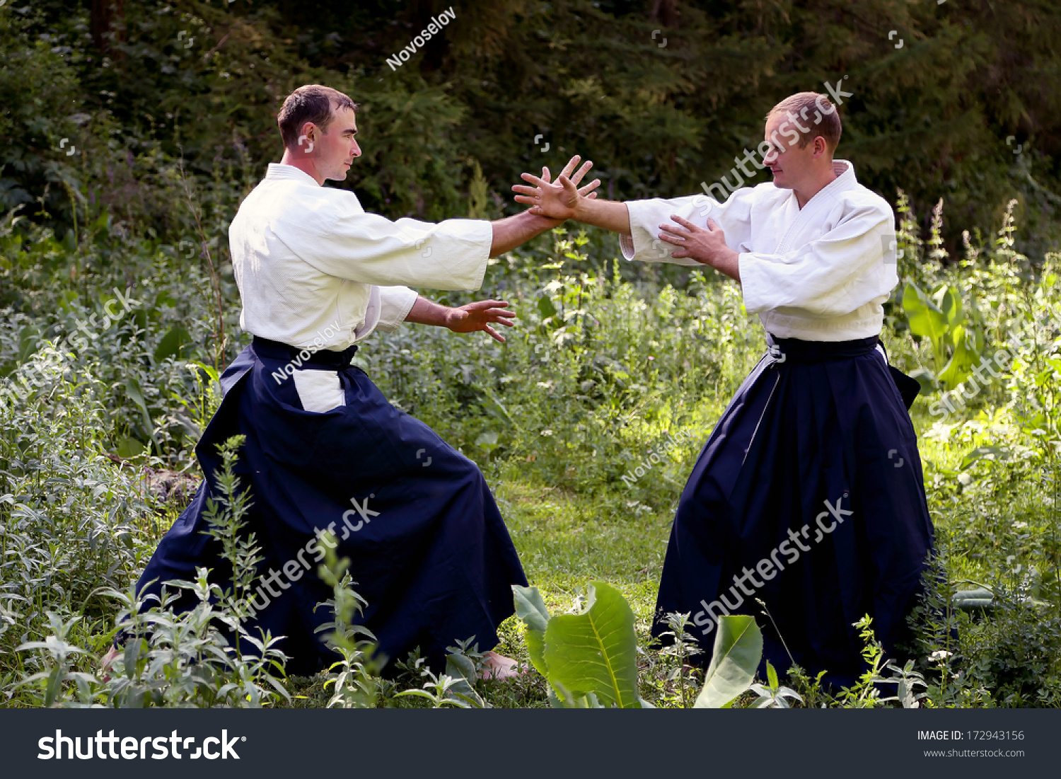 slå Tumult Ti år Training Martial Art Aikido On Nature Stock Photo (Edit Now) 172943156