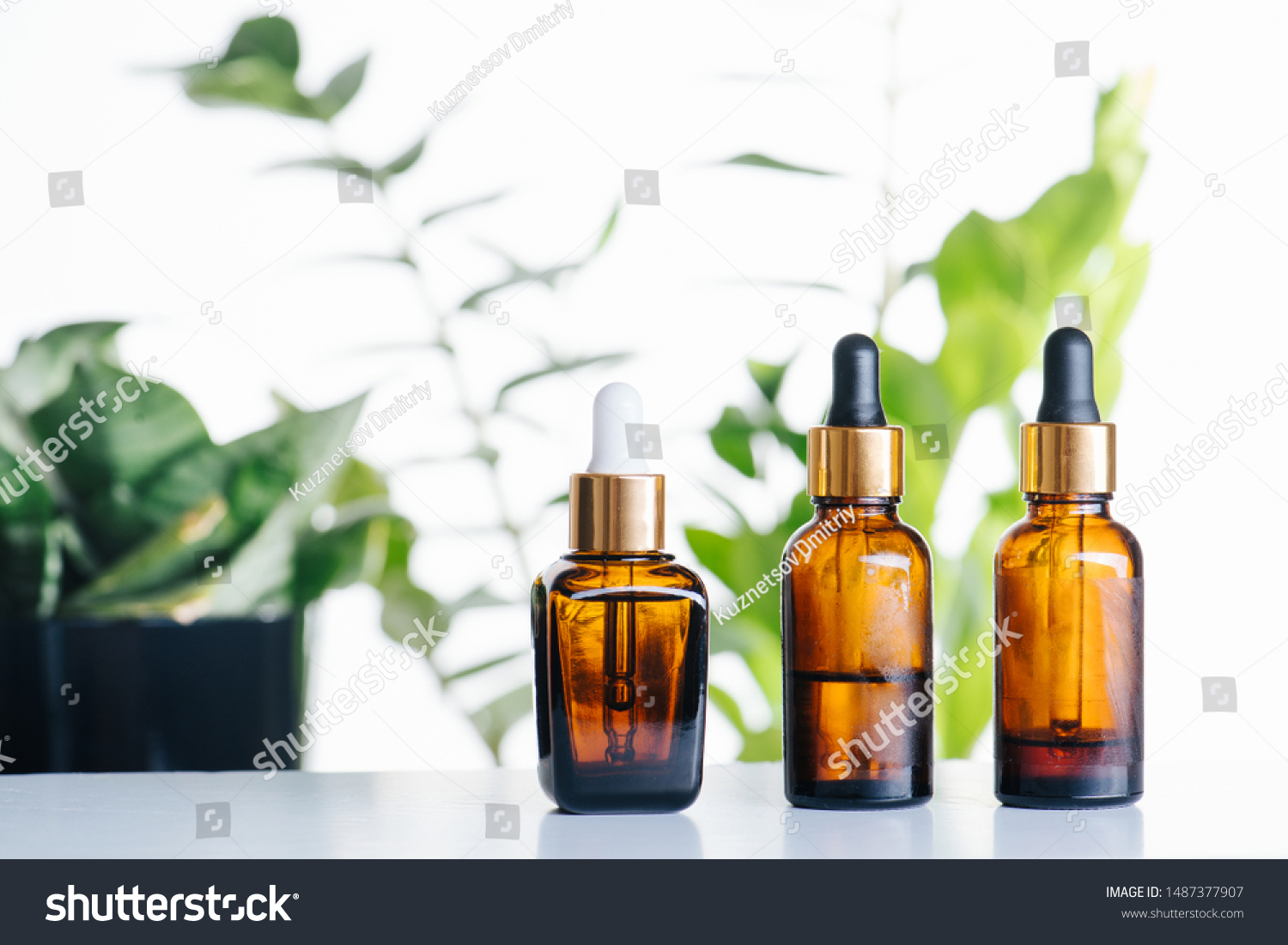 Download Transparent Cosmetic Amber Glass Dropper Bottles Stock Photo Edit Now 1487377907