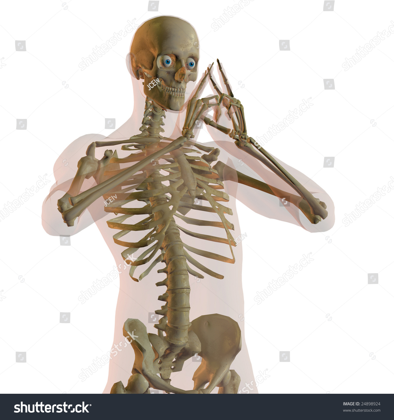 Transparent Human Male Isolated On White Thinking With Skeleton Showing ...