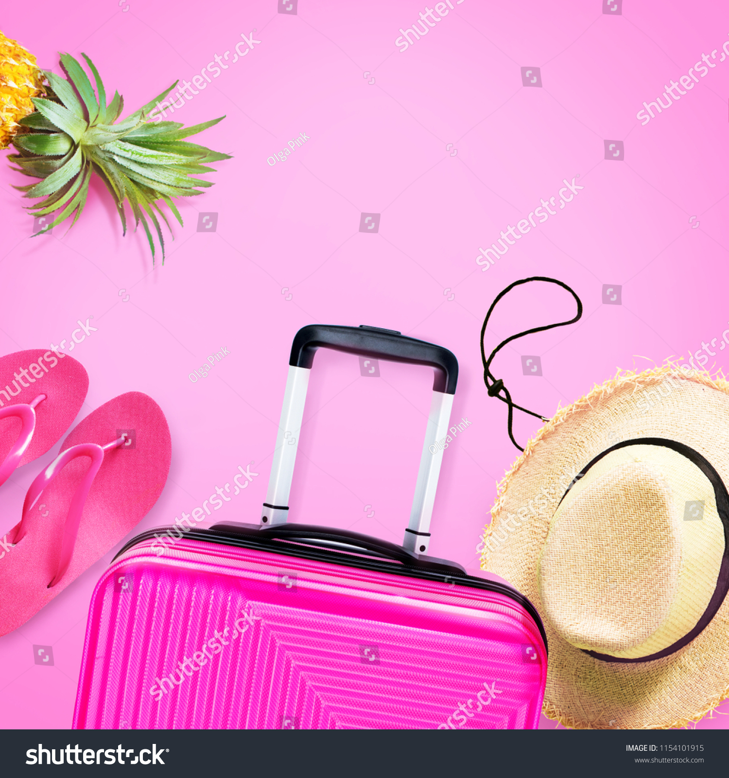 pineapple luggage set