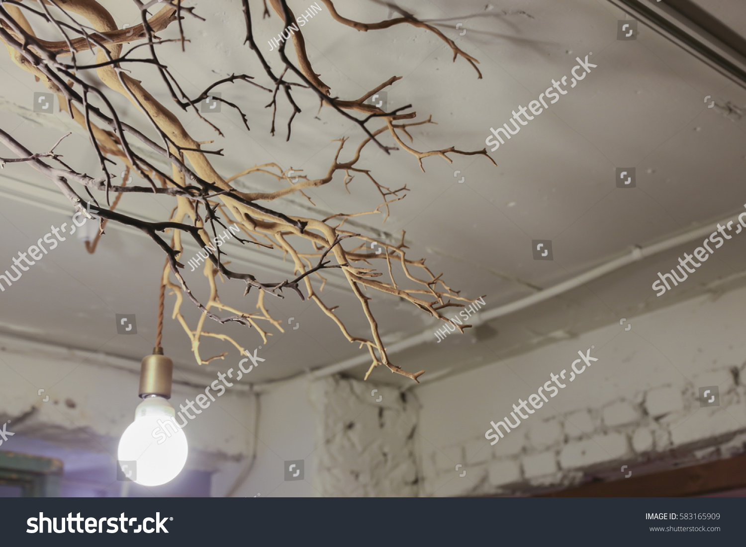 Tree Branches On Ceiling Stock Photo Edit Now 583165909