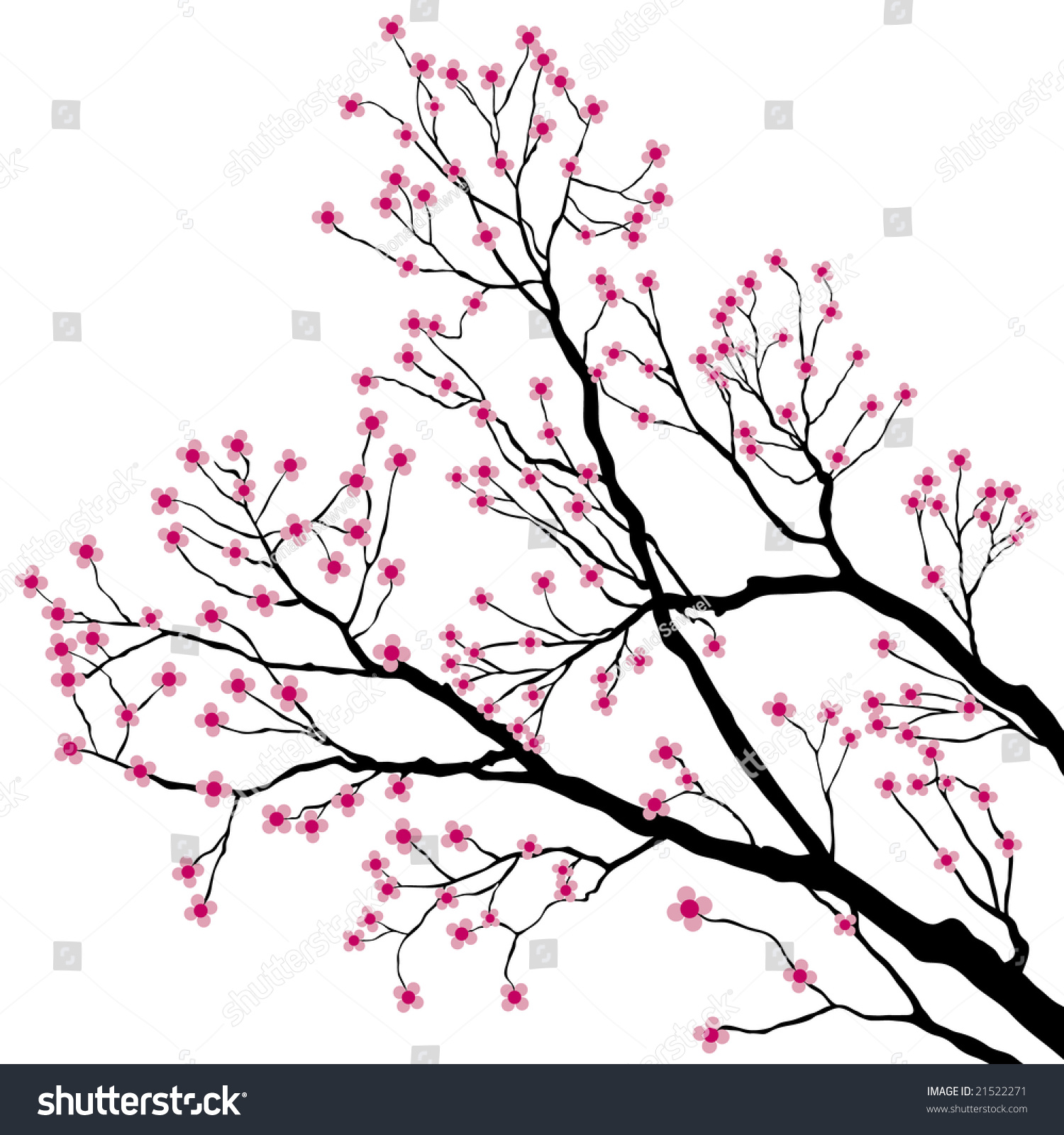Tree Branches With Pink Flowers Stock Photo 21522271 : Shutterstock