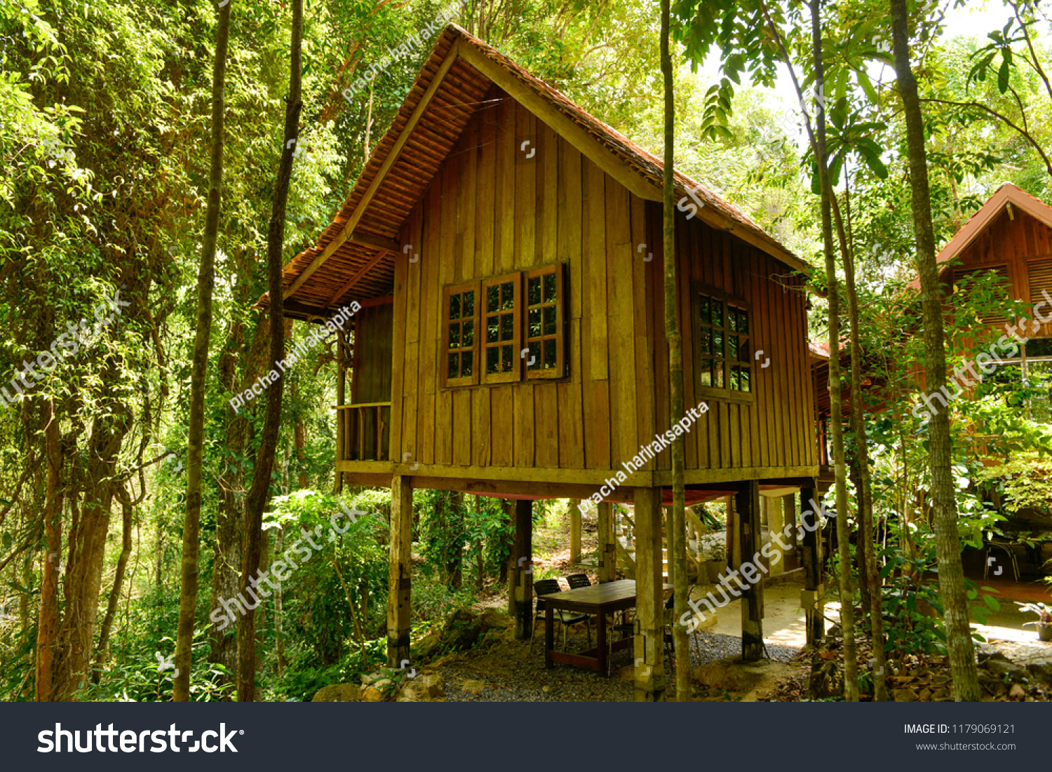 Tree House Jungle Stock Photo Edit Now 1179069121