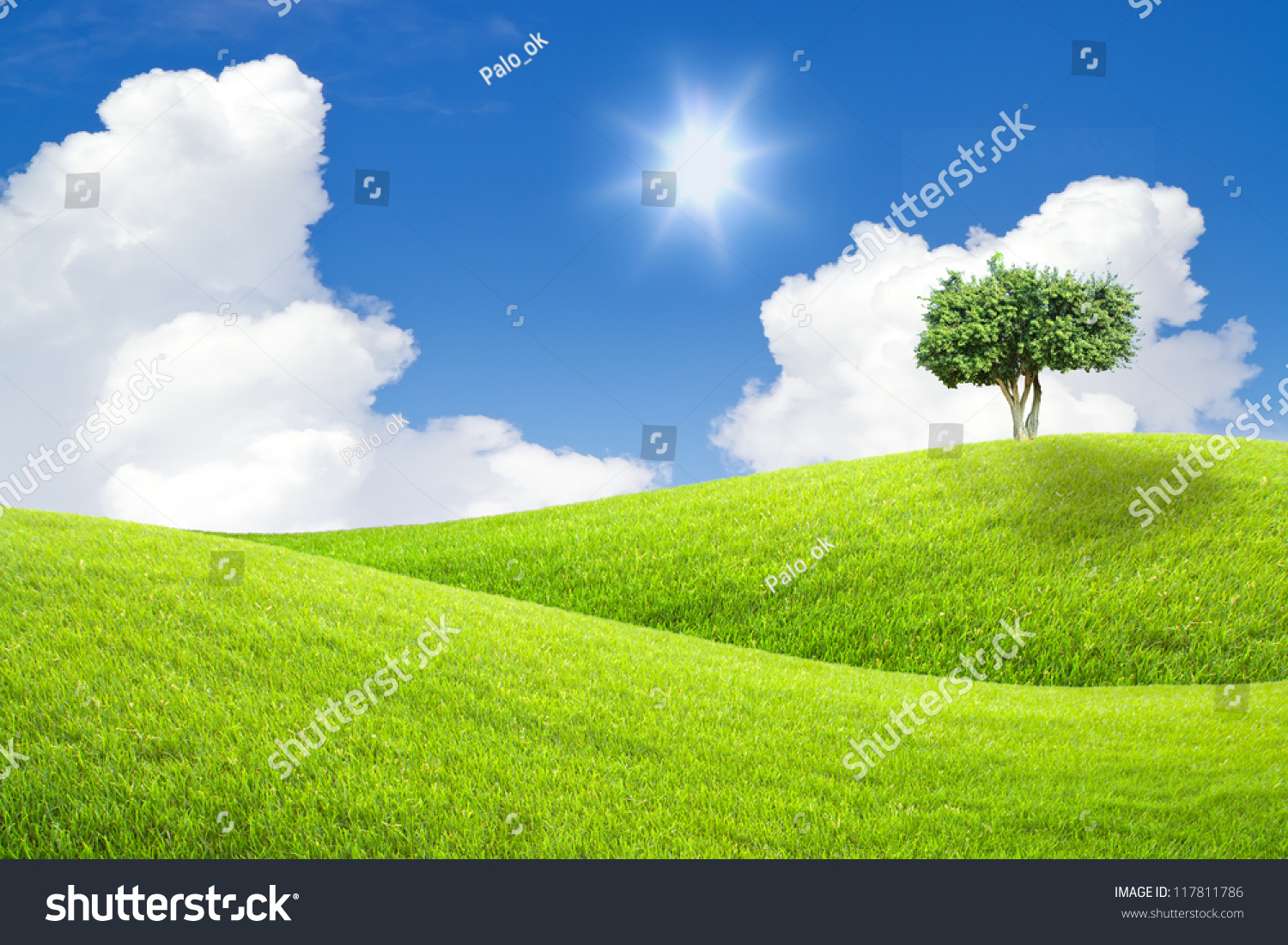 Tree On Green Grass And Blue Sky Stock Photo 117811786 : Shutterstock