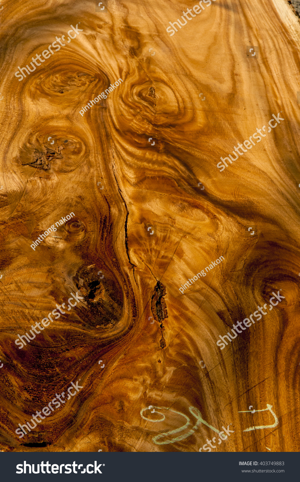 Tree Timber Texture Background Stock Photo 403749883 | Shutterstock