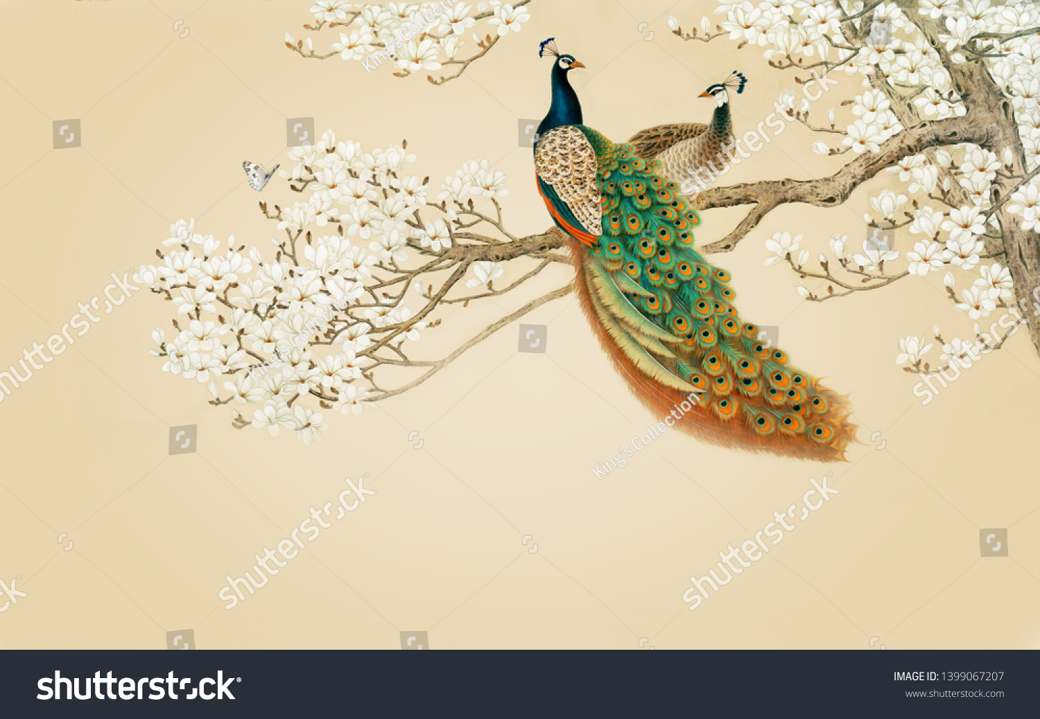 孔雀のテクスチャ背景に木 3d壁紙 のイラスト素材