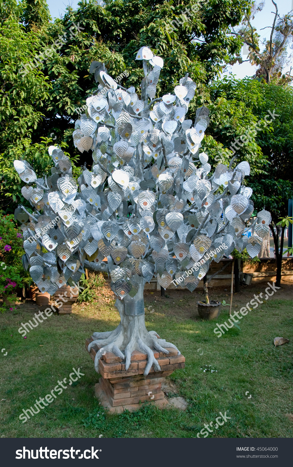 Tree With Silver Leaves At Wat Lok Malee, A Lanna Style Buddhist Temple ...