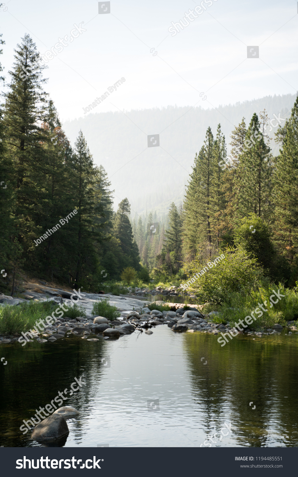 Trees River Wawona Yosemite Swinging Bridge Stock Photo