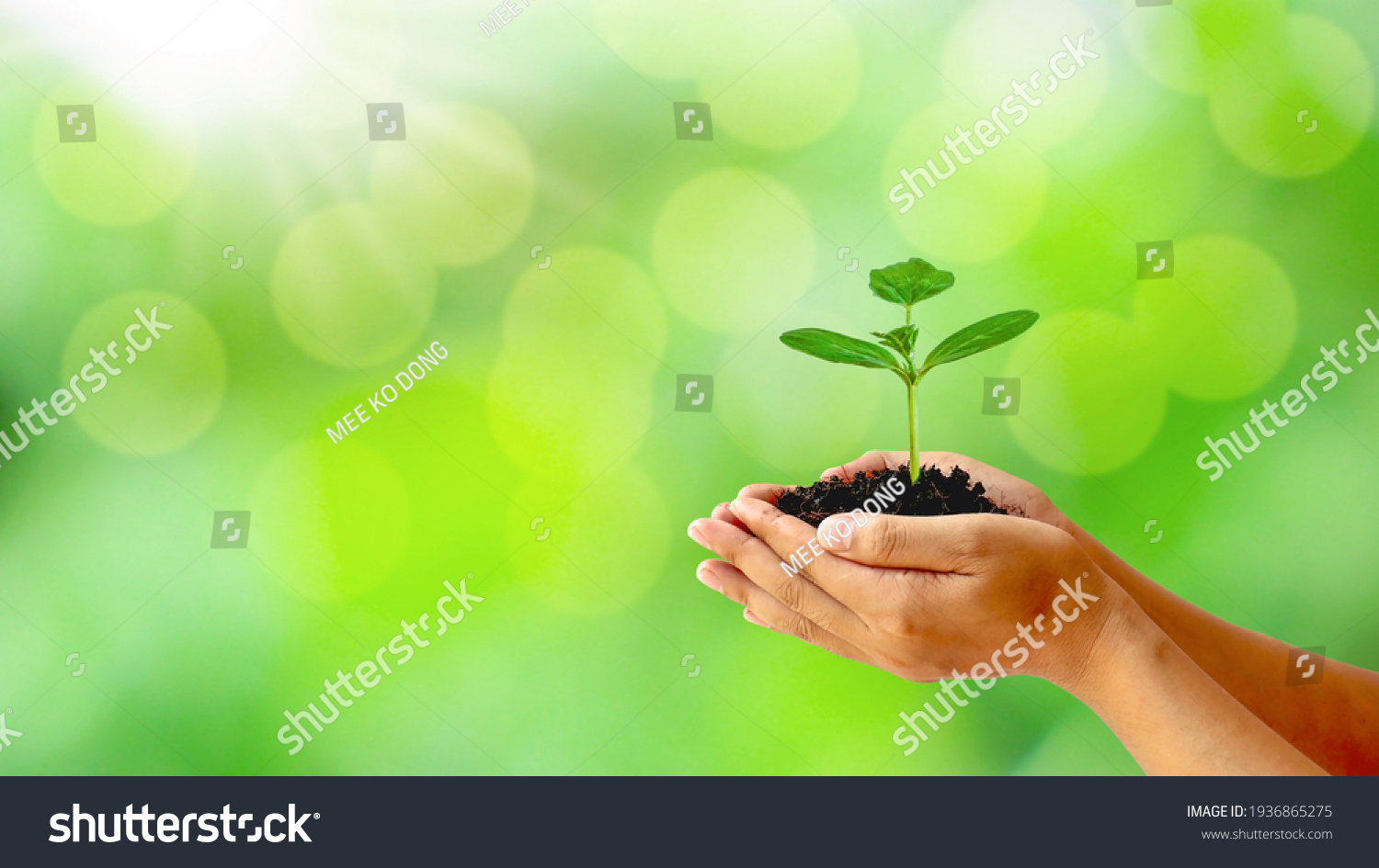 11,999 Donate Tree Images, Stock Photos & Vectors | Shutterstock