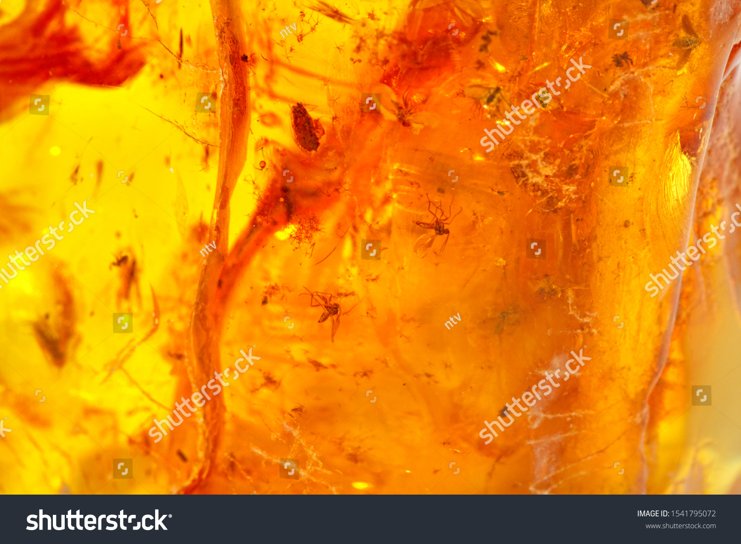 Trendy Colorful Background Luxury Amber Texture Stock Photo (Edit Now