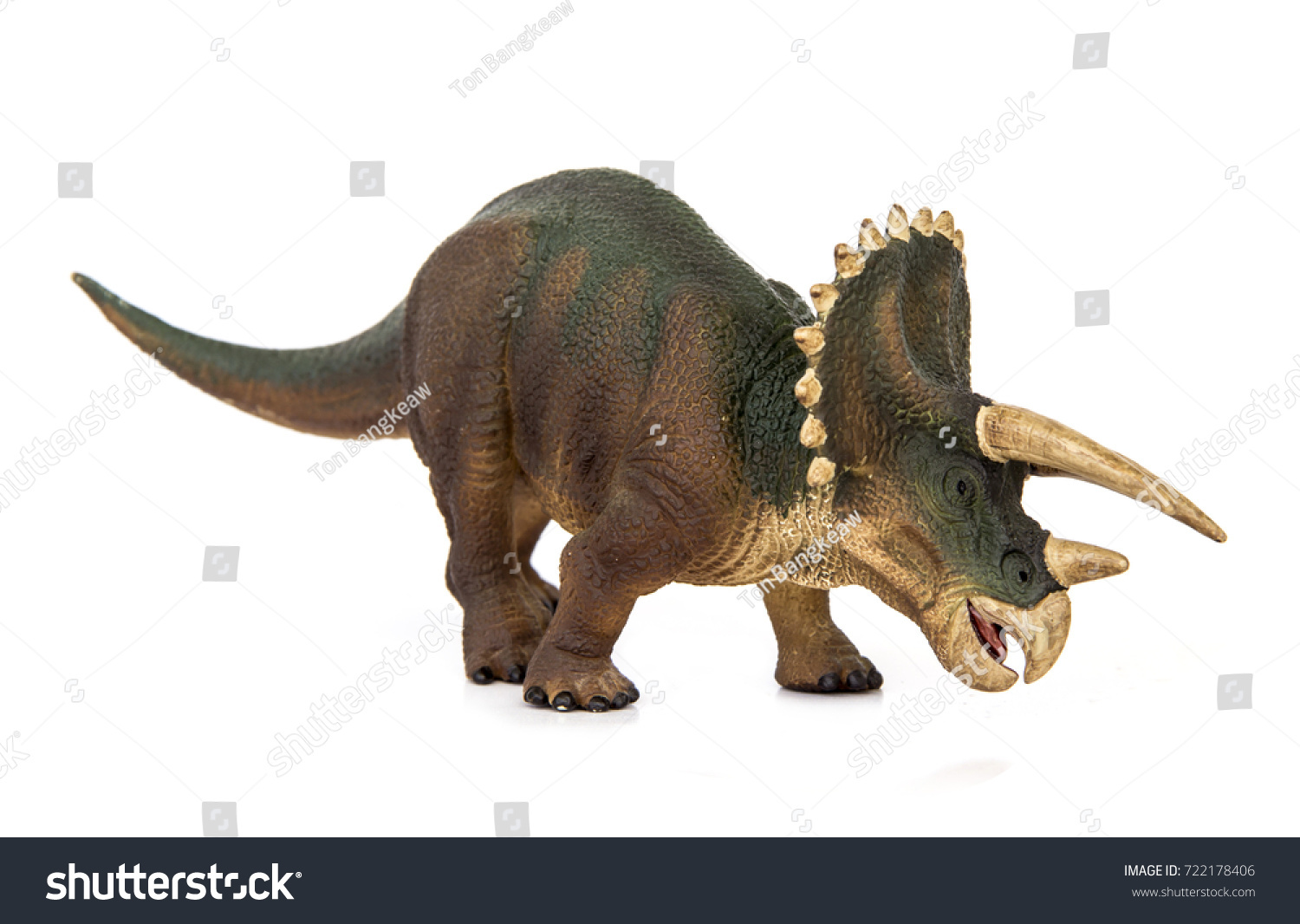 living triceratops