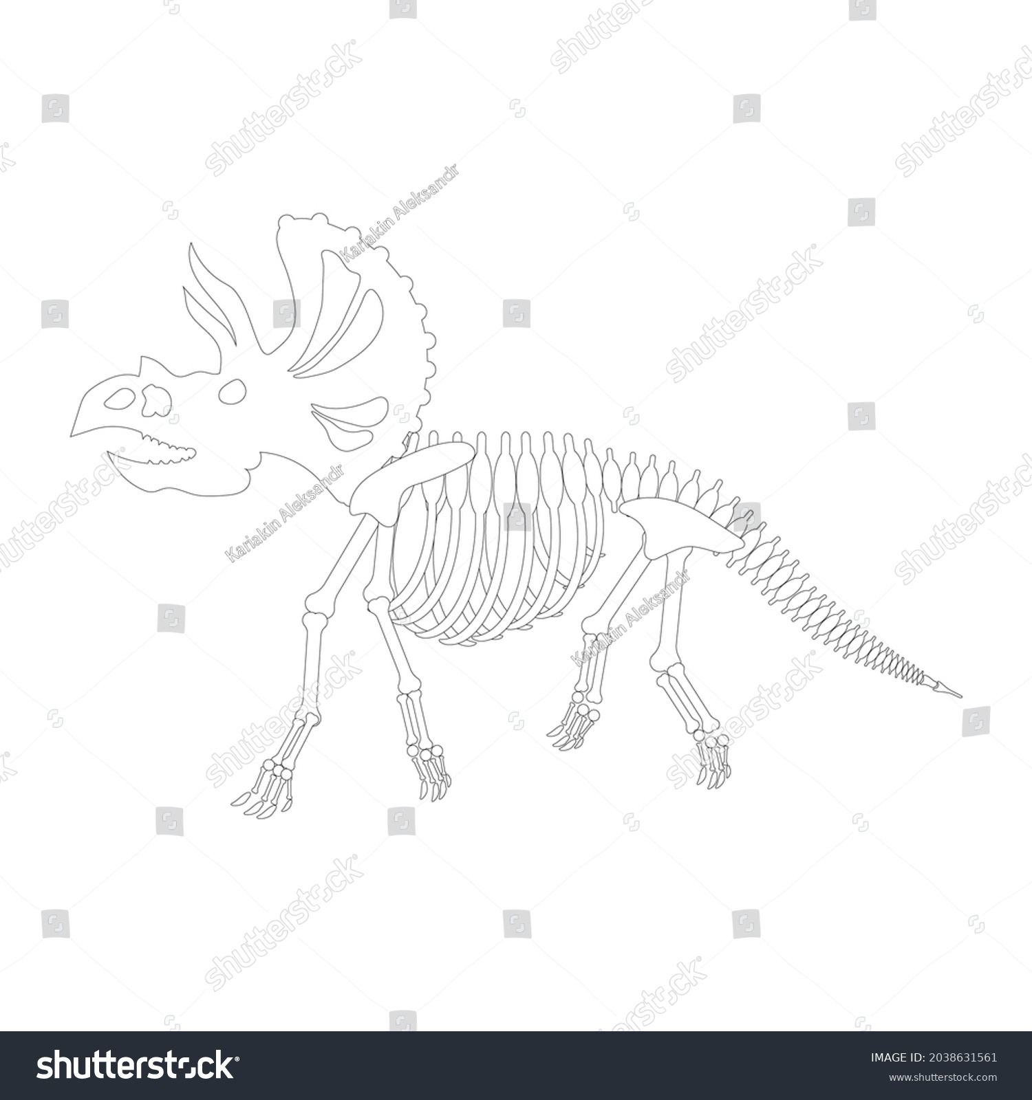 Triceratops Skeleton Drawing On White Background Stock Illustration