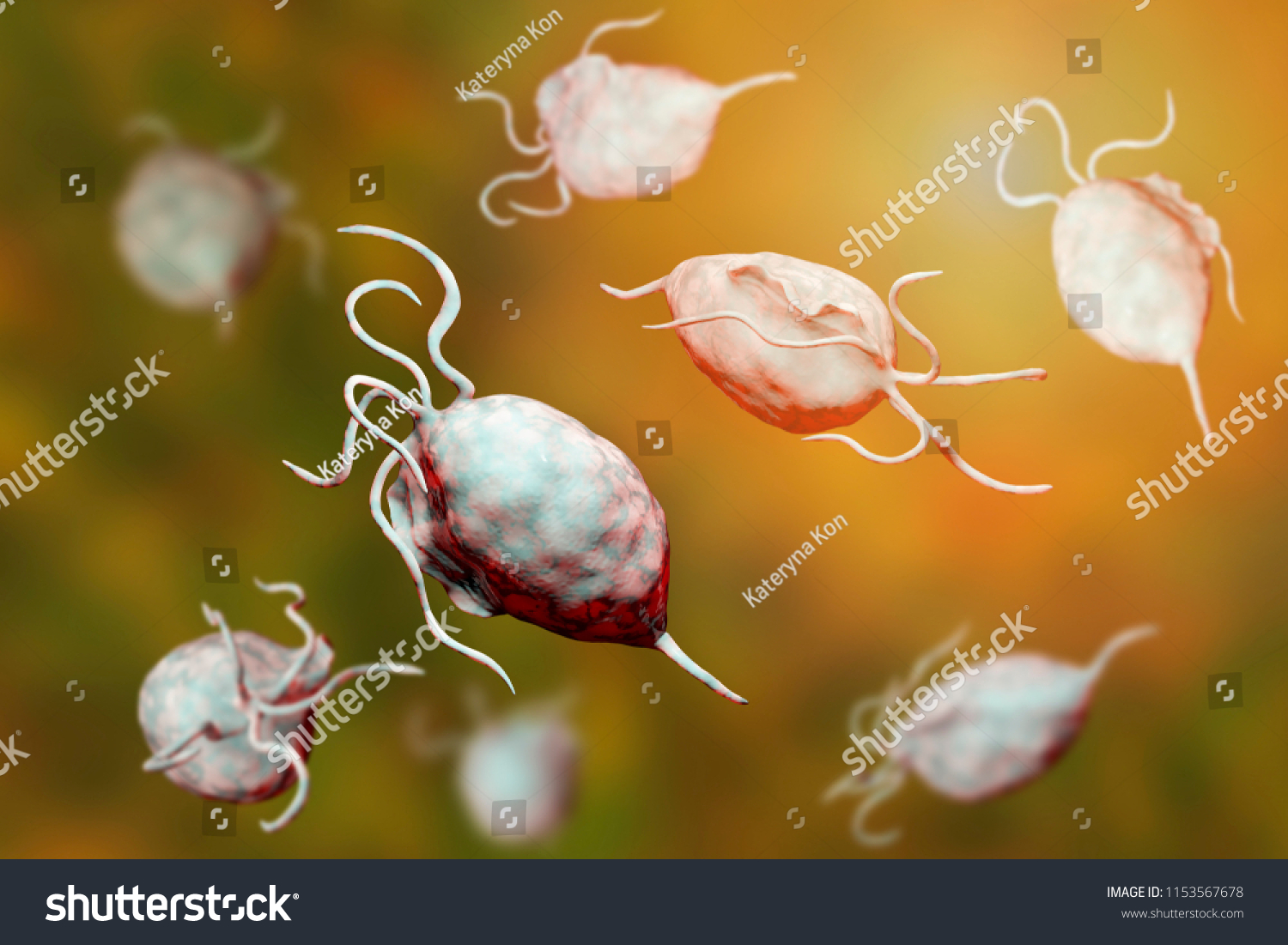 Trichomonas Vaginalis Protozoa D Illustration Parasite Stock Illustration