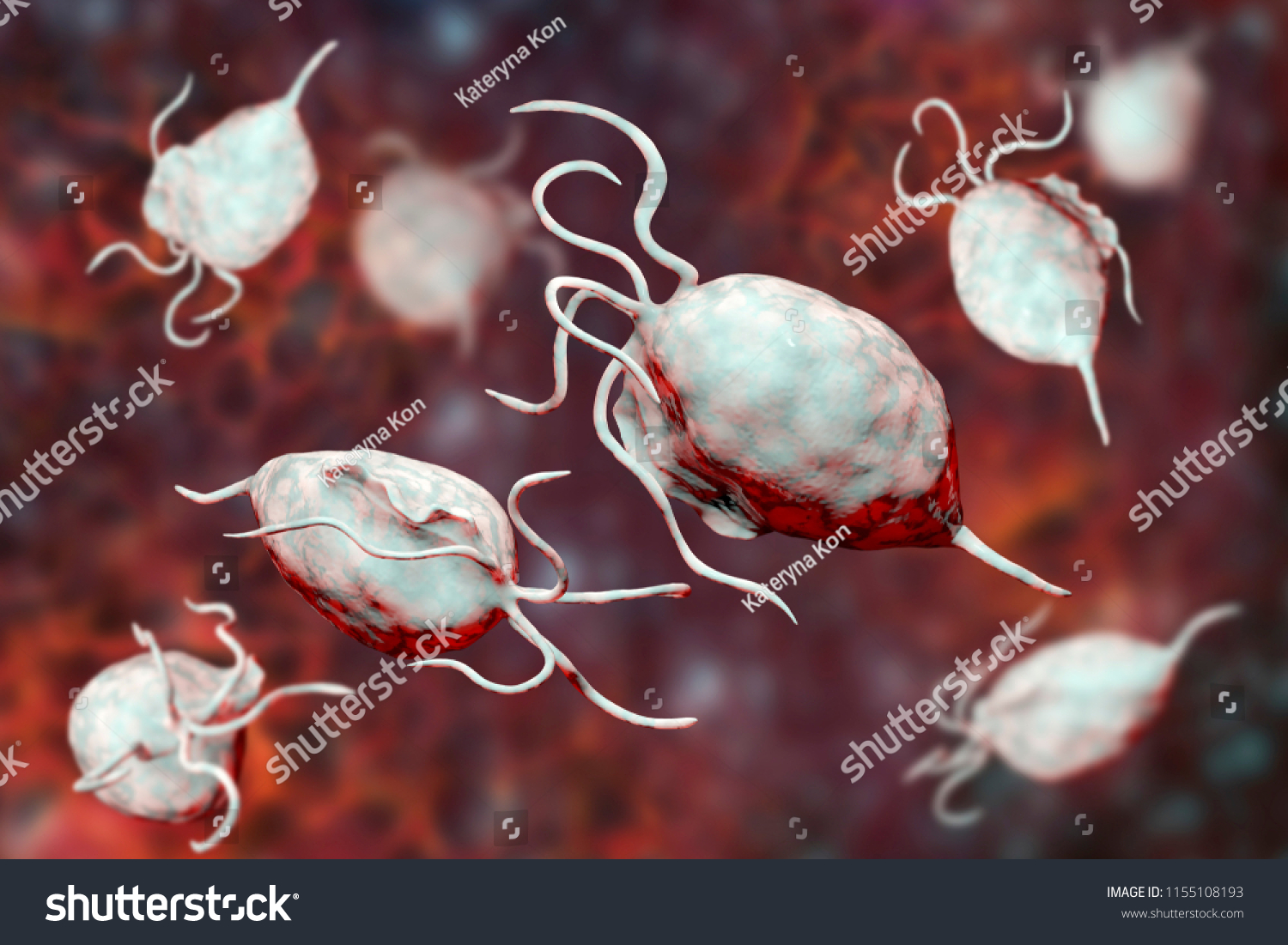 Trichomonas Vaginalis Protozoa 3d Illustration Parasite Illustration De Stock 1155108193 1532