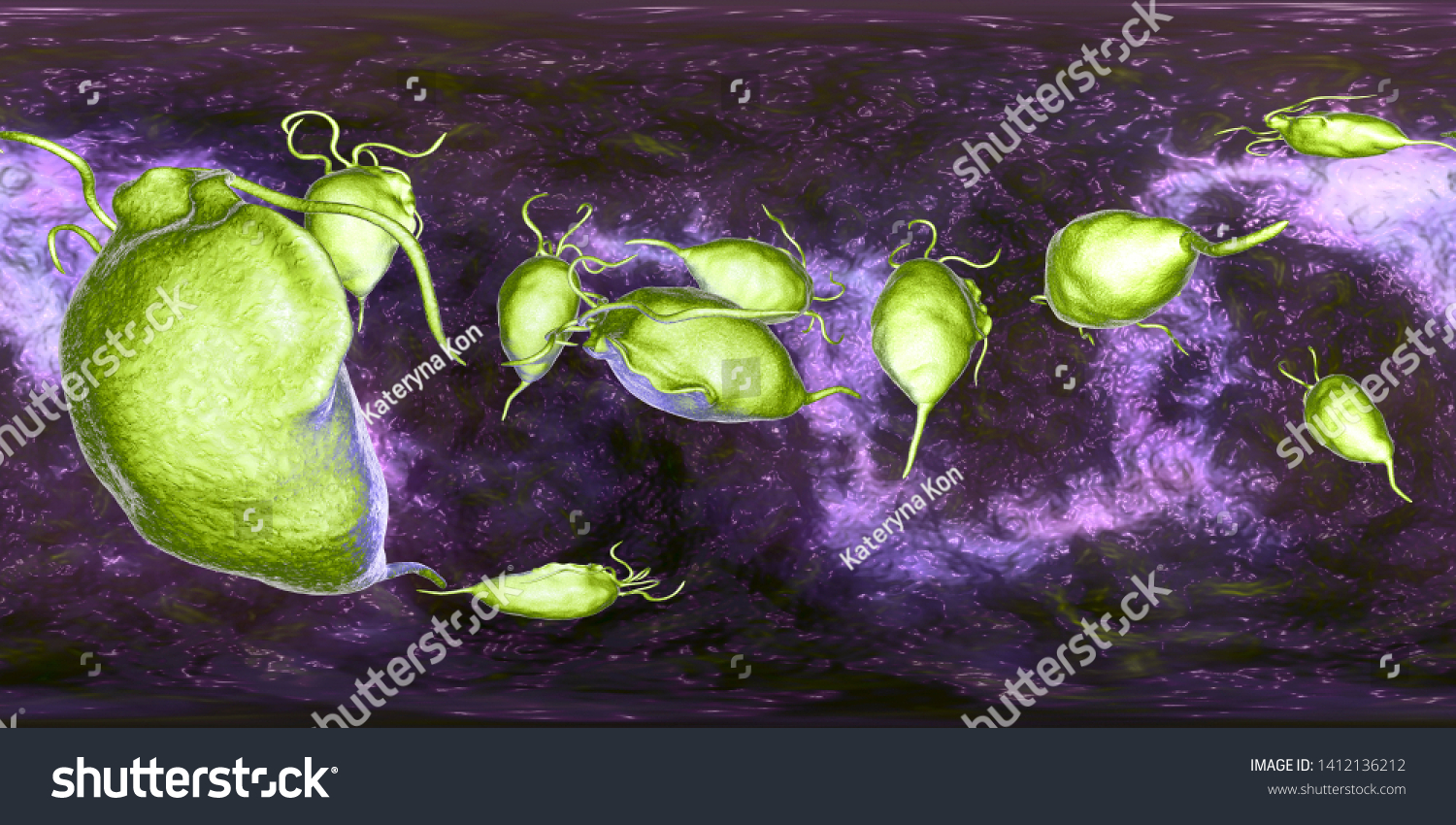 Trichomonas Vaginalis Protozoan 360degree Spherical Panorama Illustrazione Stock 1412136212 3683