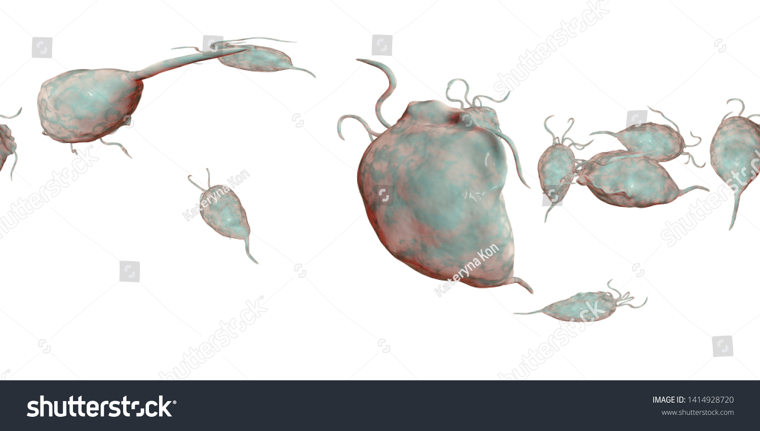 Trichomonas Vaginalis Protozoan Degree Spherical Panorama Stock Illustration