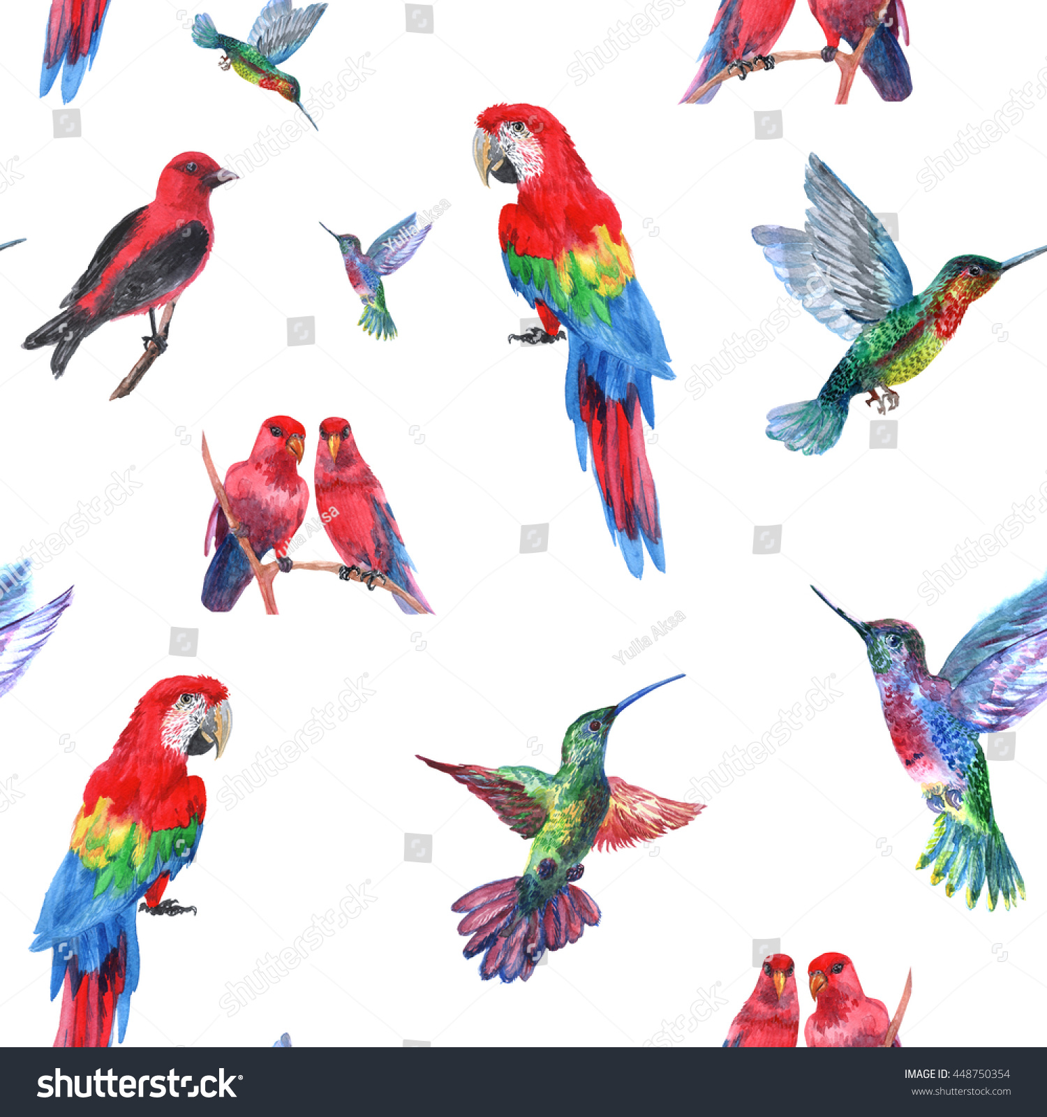 熱帯鳥のシームレスな模様 天国の飛ぶ鳥の水の色のスプラッシュ背景 リアルな美しいイラスト のイラスト素材