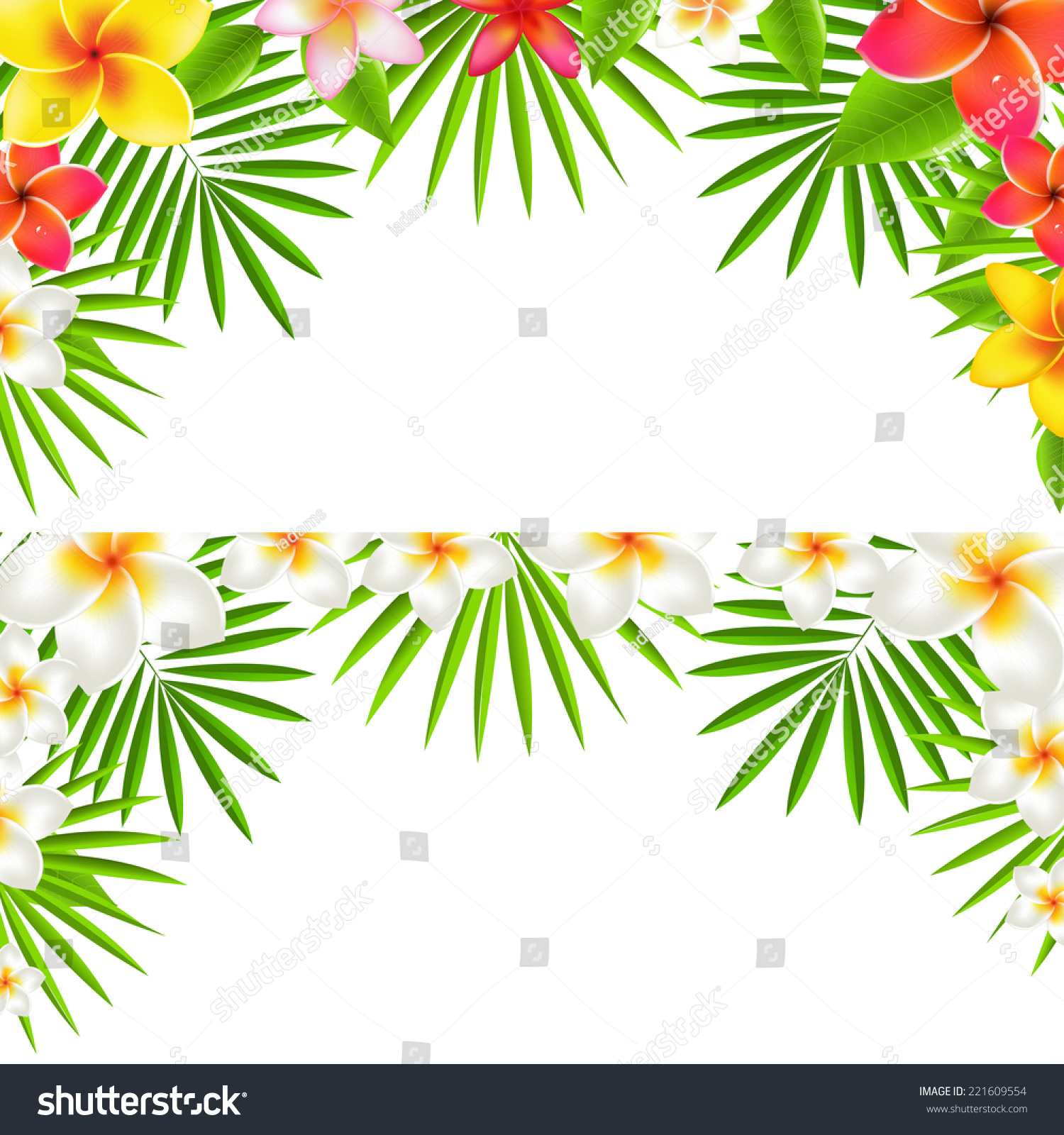 Tropical Flowers Border Set Stock Illustration 221609554 - Shutterstock