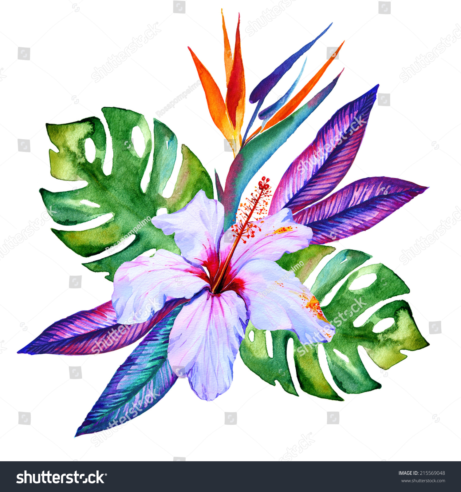 水彩の熱帯の花 ハイビスカス プルメリア モンステラ ヤシ パラダイス のイラスト素材