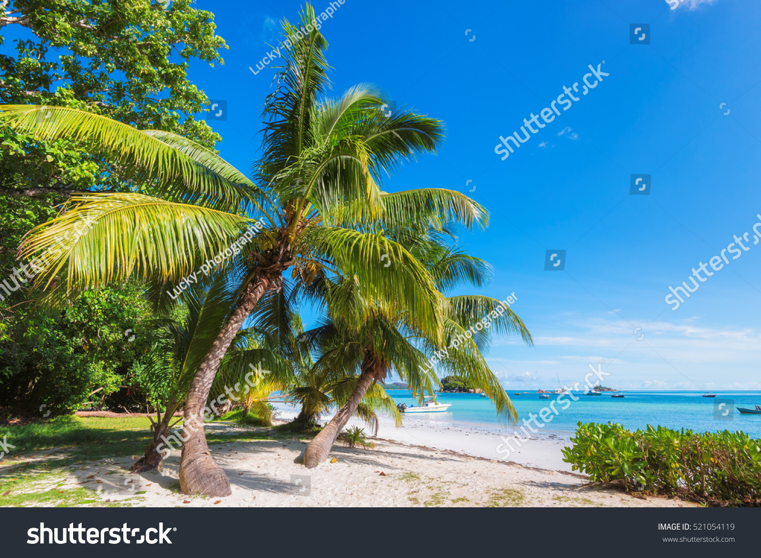 Tropical Island Stock Photo 521054119 : Shutterstock