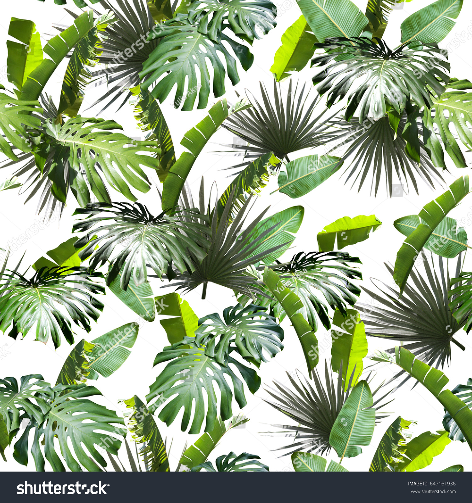 Tropical Leaf Repeating Pattern On White Stock Photo (edit Now) 647161936