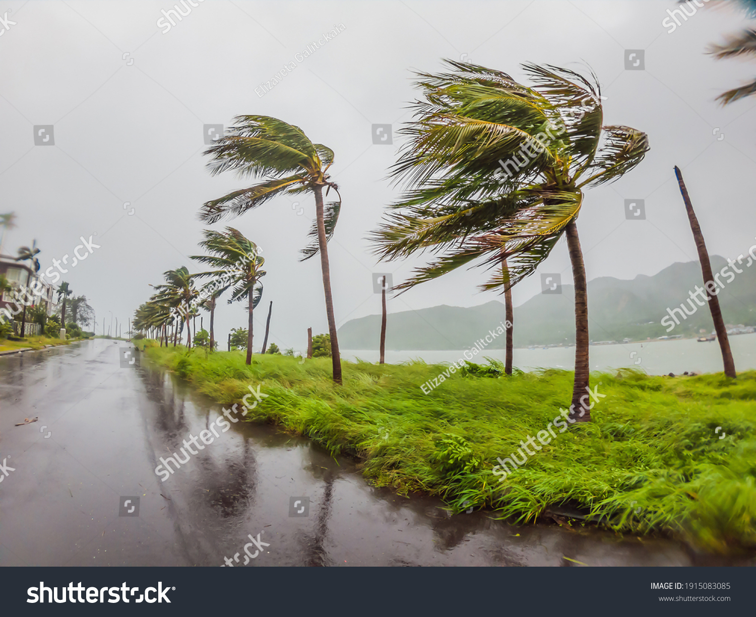 Tropical Storm Heavy Rain High Winds Stock Photo (Edit Now) 1915083085