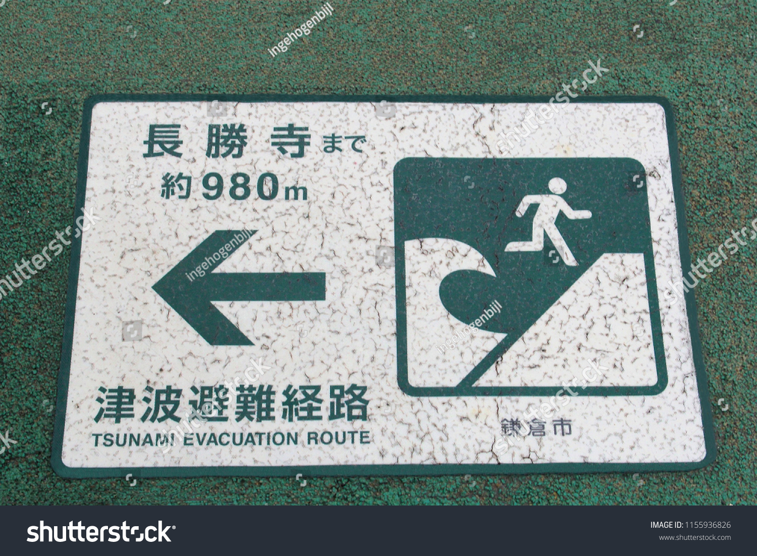 Tsunami Evacuation Route Sign English Japanese Stock Photo Edit