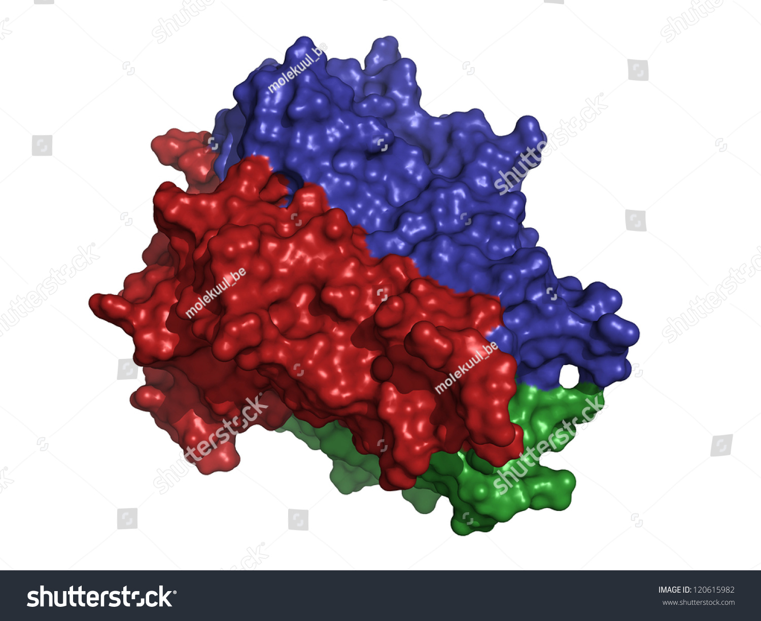 Tumor Necrosis Factor Tnf Cachexin Cachectin Stock Illustration ...