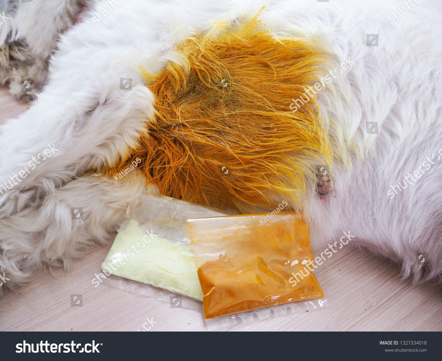 Turmeric Powder Sulfur Powder On Dogs Stock Photo Edit Now 1327334018