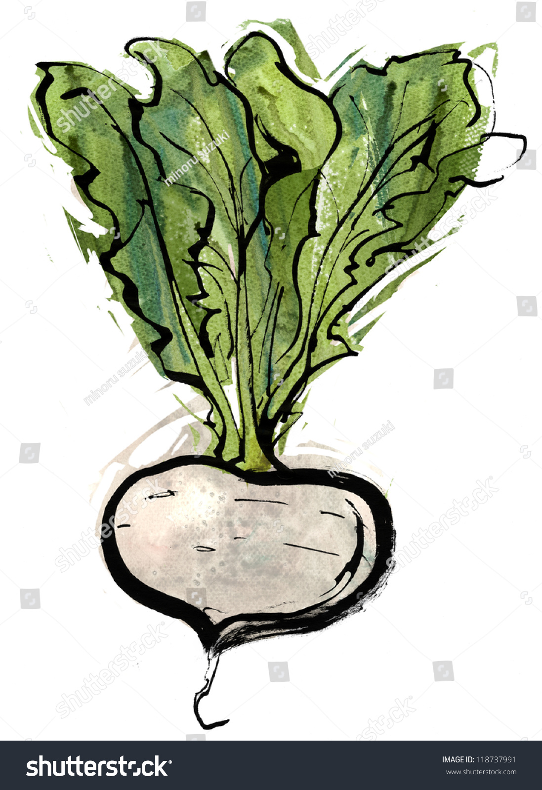 京野菜 のイラスト素材 画像 ベクター画像 Shutterstock