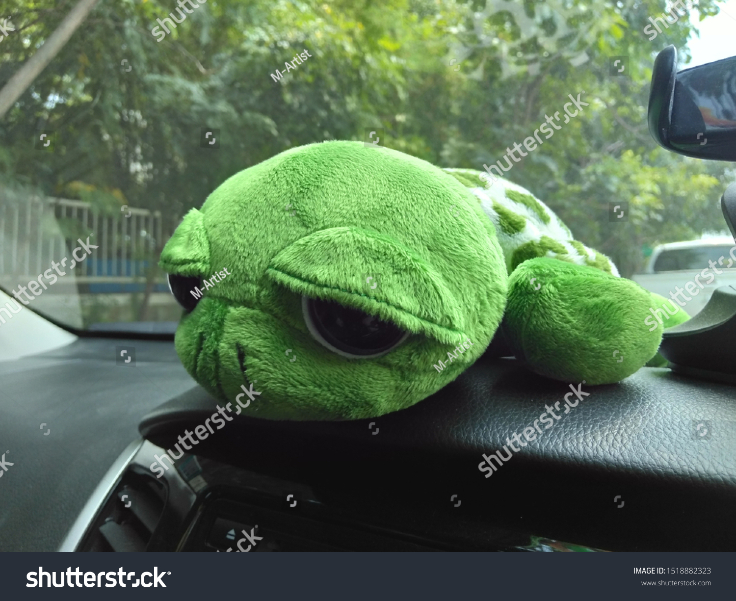 Turtle Doll Decorate Cars Face Stock Photo Edit Now 1518882323