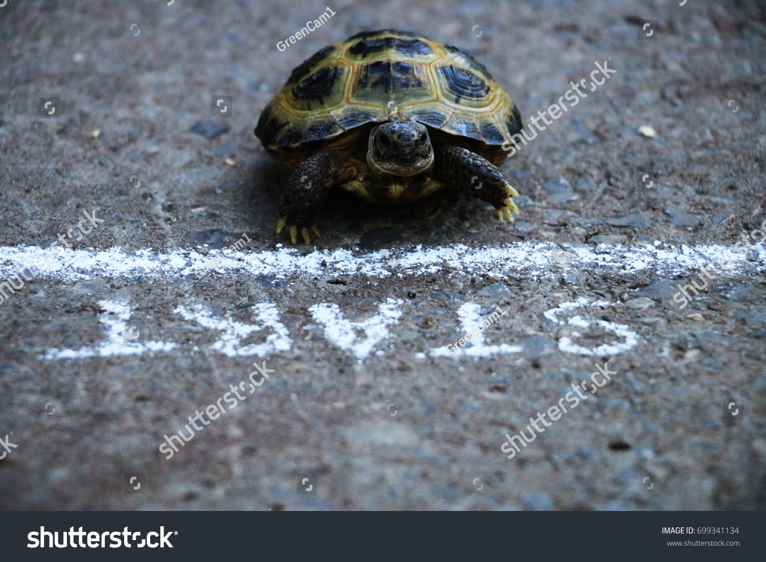 5,236 Slow start Images, Stock Photos & Vectors | Shutterstock