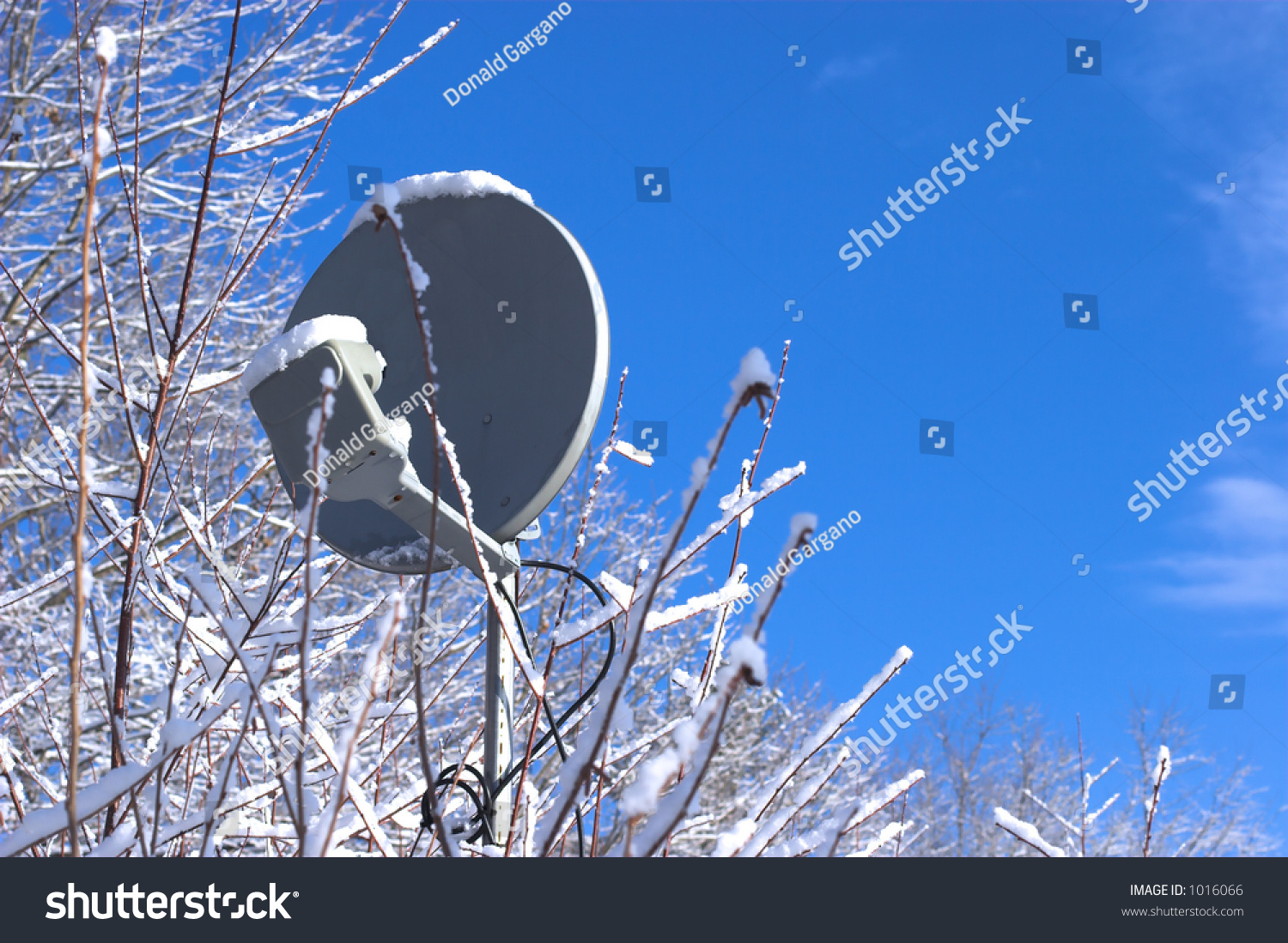 satellite tv snow