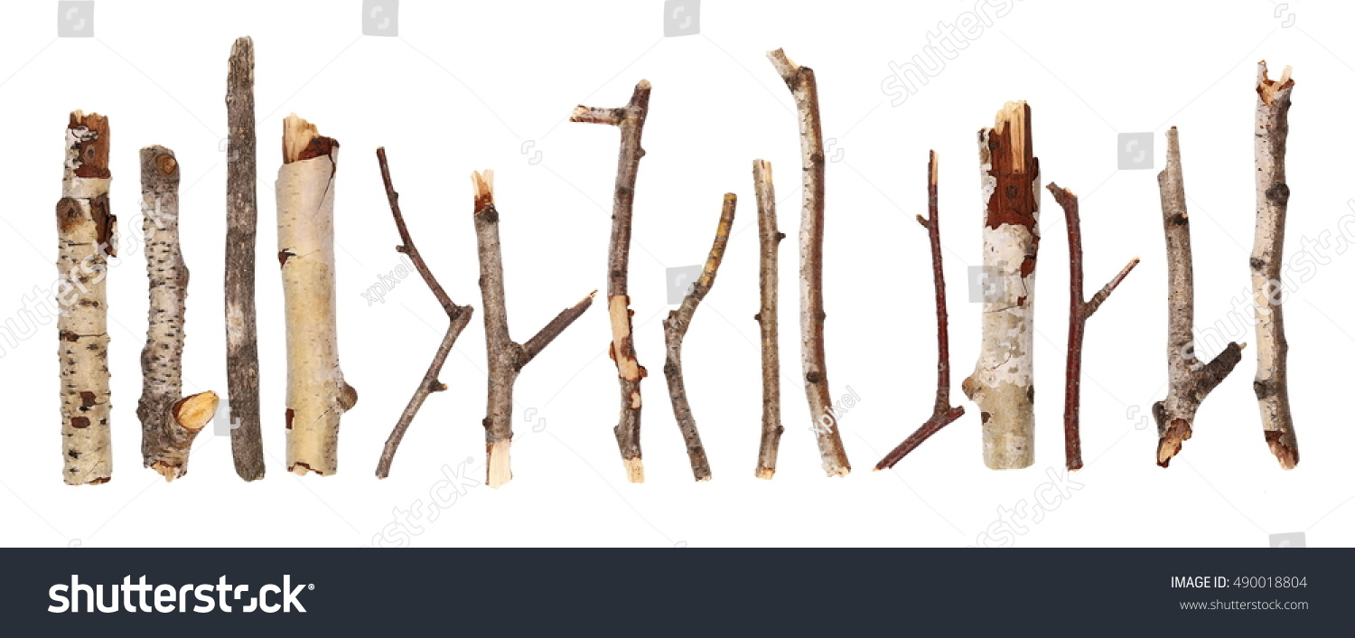 545,436 Small tree branches Images, Stock Photos & Vectors | Shutterstock