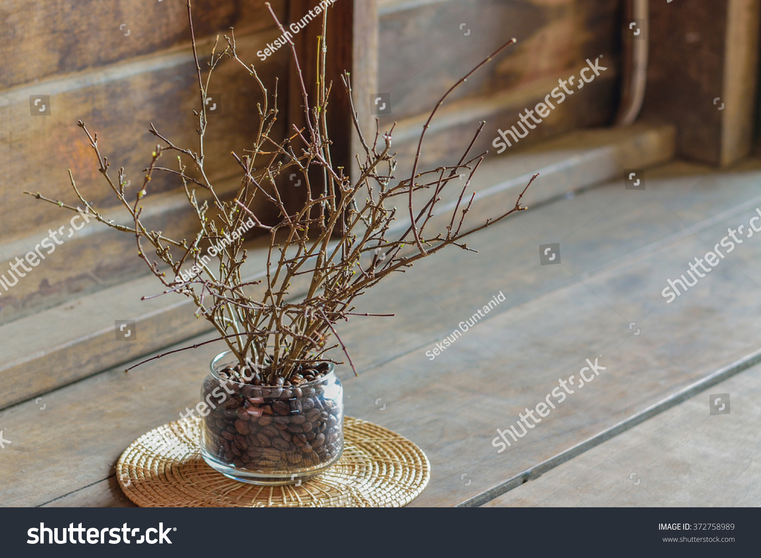 Twigs Vase On Morningmorning Lightnatural Lightcloseup Stock Photo